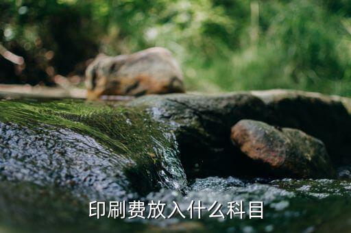 印花費記什么科目，印花稅記入哪個科目