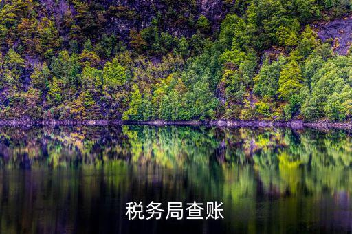 涉稅中介是什么意思，招標(biāo)代理是什么意思
