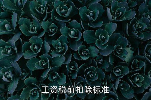 什么是稅前扣除標準，請問差旅費稅前扣除標準是什么