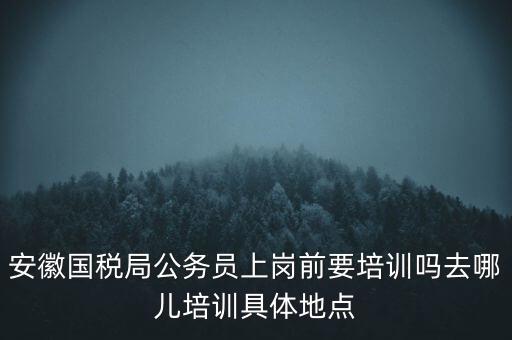 安徽國稅什么時候培訓，安徽省稅務學校還在嗎那里的教學樓宿舍和操場都還在嗎沒被拆