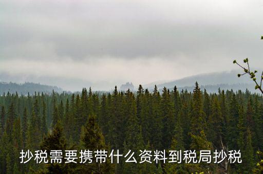 報稅查什么輔導(dǎo)信息，剛申請為一般納稅人在哪查看是否要經(jīng)過輔導(dǎo)期納稅申報初始化填5