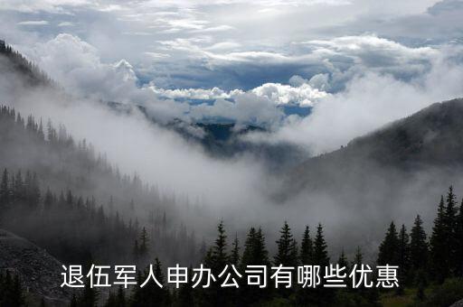 退伍開公司有什么優(yōu)惠，退伍軍人申辦公司有哪些優(yōu)惠