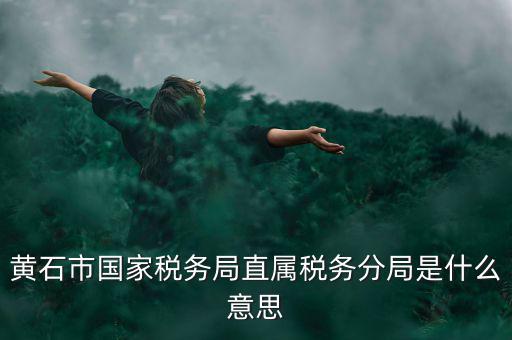 國(guó)稅直屬分局是什么局，國(guó)稅局是什么單位