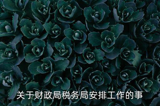 國(guó)稅局什么工作計(jì)劃，關(guān)于財(cái)政局稅務(wù)局安排工作的事
