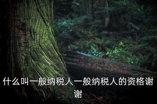 什么是一般納稅人資格證嗎，什么叫一般納稅人一般納稅人的資格謝謝