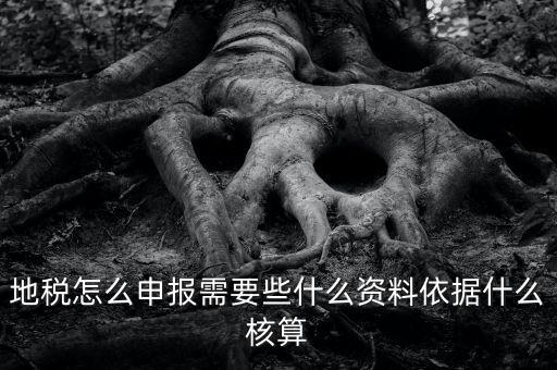 地稅根據(jù)什么申報(bào)，地稅怎么申報(bào)
