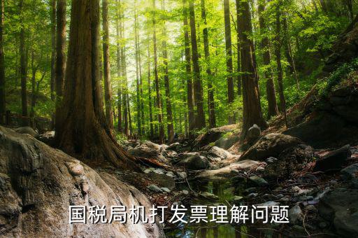 機(jī)打票是什么問題，個(gè)體工商戶開機(jī)打票的問題