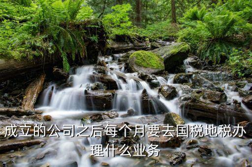 地稅辦什么業(yè)務，地稅局營業(yè)廳辦甚么業(yè)務