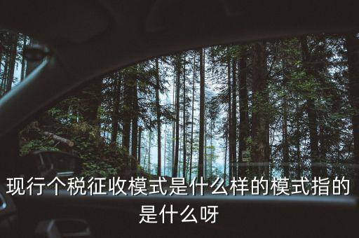 個人征稅系統(tǒng)是什么，你好補(bǔ)交個稅在稅局系統(tǒng)怎樣操作