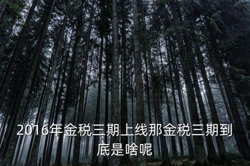 國稅金稅三期是什么意思，金稅三期是什么意思