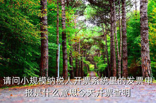 稅票申報是什么意思，納稅申報與申報納稅是一個意思嗎都是代理記賬的業(yè)務范疇嗎  搜