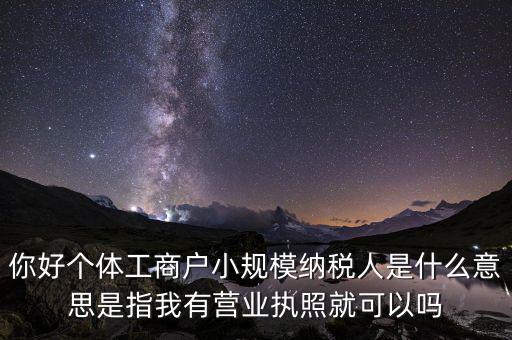 你好個(gè)體工商戶小規(guī)模納稅人是什么意思是指我有營業(yè)執(zhí)照就可以嗎