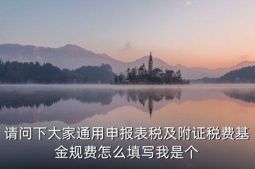 通用申報(bào)基金規(guī)費(fèi)包括什么，請(qǐng)問(wèn)下大家通用申報(bào)表稅及附證稅費(fèi)基金規(guī)費(fèi)怎么填寫(xiě)我是個(gè)