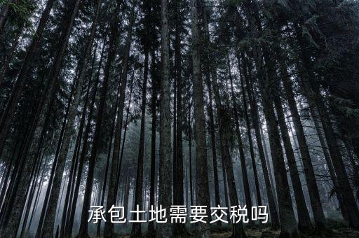 土地承包費征什么稅，我公司承包一農(nóng)民的土地承包期限至該農(nóng)民包地期限為止請問我公