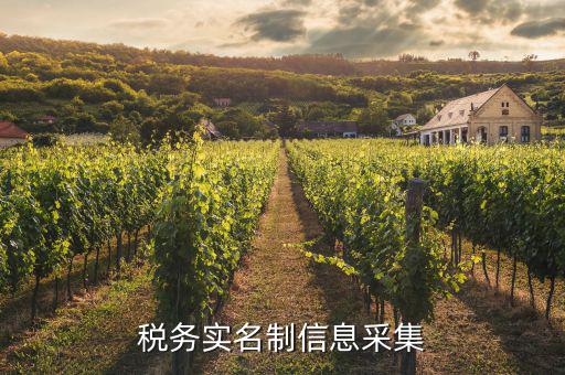實(shí)名采集需要什么資料，實(shí)名制驗(yàn)證身份證信息采集有沒有這種身份證證件識(shí)別方式  搜
