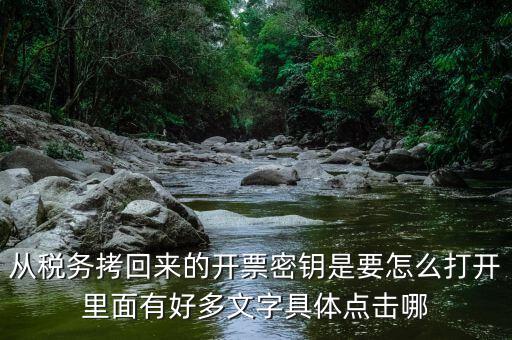稅務(wù)密鑰是什么，增值稅專(zhuān)用發(fā)票辦理秘鑰是什么意思