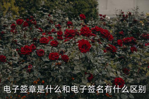 國(guó)稅電子簽章什么意思，什么是電子印章