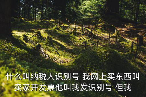 公司納稅識別號是什么意思，納稅人識別碼是什么
