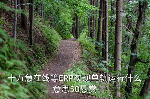 十萬(wàn)急在線等ERP實(shí)現(xiàn)單軌運(yùn)行什么意思50懸賞