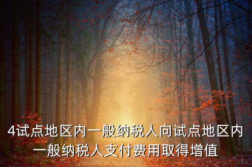 4試點地區(qū)內一般納稅人向試點地區(qū)內一般納稅人支付費用取得增值