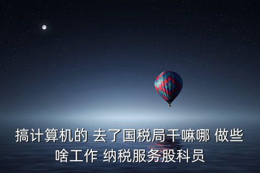 納服科是什么，搞計算機的 去了國稅局干嘛哪 做些啥工作 納稅服務(wù)股科員