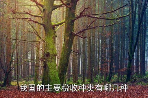 我國(guó)的主要稅收種類(lèi)有哪幾種