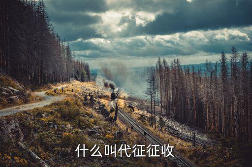 什么叫代征規(guī)費，什么是規(guī)費