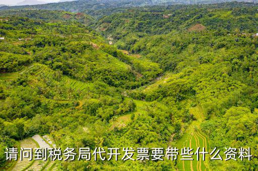 請問到稅務局代開發(fā)票要帶些什么資料