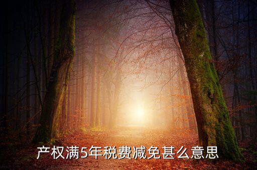 產(chǎn)權滿5年稅費減免甚么意思
