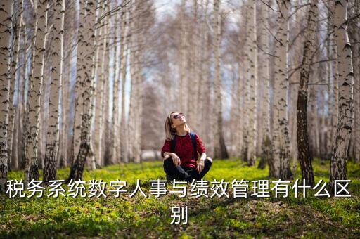 數(shù)字人事評是什么，稅務系統(tǒng)數(shù)字人事與績效管理有什么區(qū)別