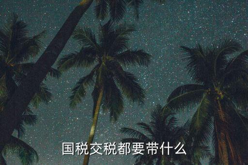 國(guó)稅錄指紋需要帶什么，國(guó)稅交稅都要帶什么