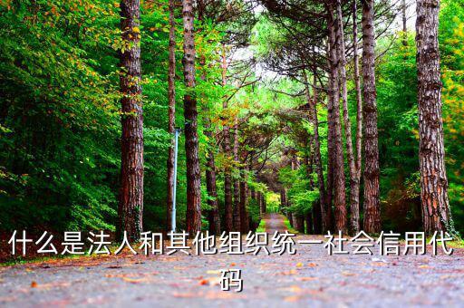 機(jī)關(guān)有社會(huì)信用代碼是什么意思，社會(huì)信用代碼與機(jī)構(gòu)信用代碼有什么不同