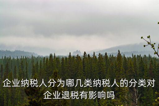 什么A級(jí)B級(jí)信用納稅人，A級(jí)增值稅一般納稅人C級(jí)增值稅一般納稅