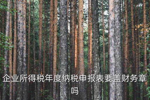 所得稅年報(bào)要蓋什么章，企業(yè)所得稅年度納稅申報(bào)表要蓋財(cái)務(wù)章嗎