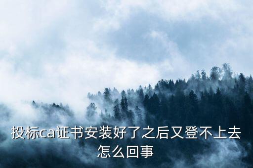 ca登陸不上是什么原因，登不上是怎么回事
