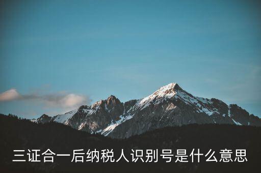三證合一稅務(wù)識(shí)別號(hào)是什么意思，三證合一后納稅人識(shí)別號(hào)是什么意思