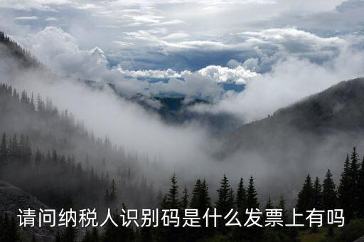 發(fā)票納稅人代碼是什么意思，請(qǐng)問(wèn)納稅人識(shí)別碼是什么發(fā)票上有嗎