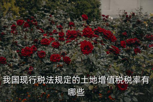 土地增值稅采用什么稅率，土地增值稅應(yīng)用于哪種稅率形式
