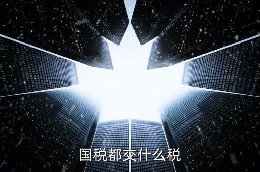 國稅稅款是什么，國稅都交什么稅