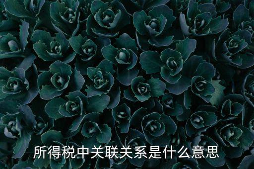所得稅關(guān)聯(lián)表是什么意思，所得稅中關(guān)聯(lián)關(guān)系是什么意思