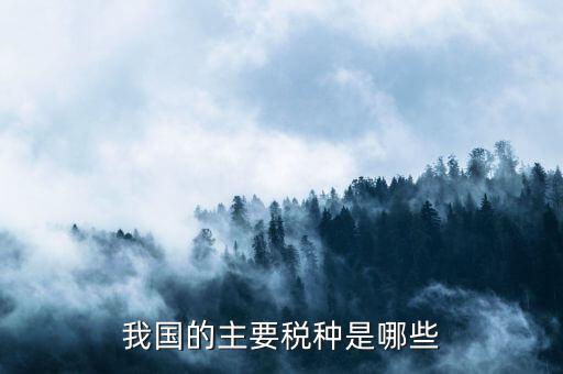 中國三大稅收是什么，中國境內(nèi)的稅收種類