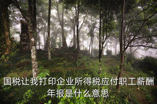 所得稅年報(bào)是什么意思，企業(yè)所得稅年報(bào)是什么意思怎么報(bào)去年4個(gè)季度都報(bào)了呀我是