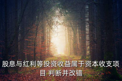 股息紅利等投資收益屬于什么，股息與紅利等投資收益屬于資本收支項(xiàng)目 判斷并改錯