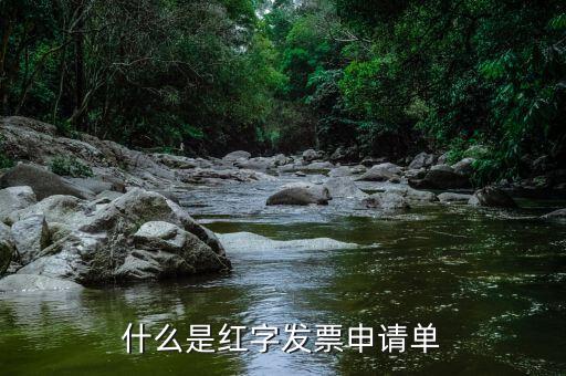 紅字申請單是什么意思，由銷售方申請開具紅字發(fā)票是什么意思