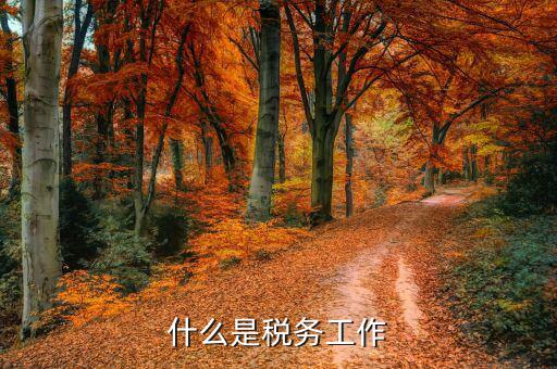 什么是稅務(wù)人員，稅務(wù)專(zhuān)員是一種什么工作和會(huì)計(jì)有什么不同和會(huì)計(jì)一樣也分從