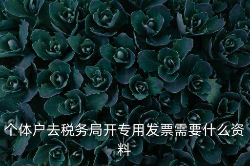 個體戶開專票需要什么，個體在國稅局開增值稅專用發(fā)票需要什么資料