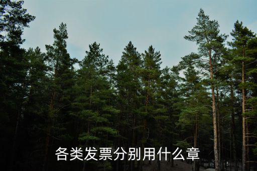 發(fā)票退票申請蓋什么章，銀行的退票申請書加蓋公章還是財務章