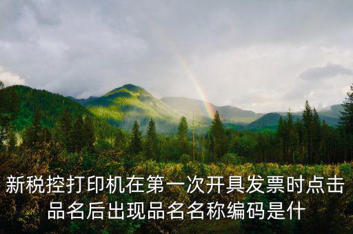 發(fā)票 商品編碼是什么，發(fā)票號(hào)碼和發(fā)票代碼是什么我的發(fā)票上只有單據(jù)編碼和貨品編號(hào)啊