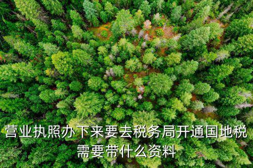有了營(yíng)業(yè)執(zhí)照要帶什么去辦稅，拿到營(yíng)業(yè)執(zhí)照銀行開戶后去辦稅帶什么證件