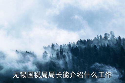無(wú)錫地稅局長(zhǎng)接待日是什么，無(wú)錫國(guó)稅局局長(zhǎng)能介紹什么工作